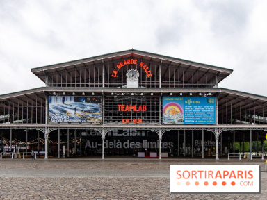 Teamlab : au delà des limites à la Villette, les photos