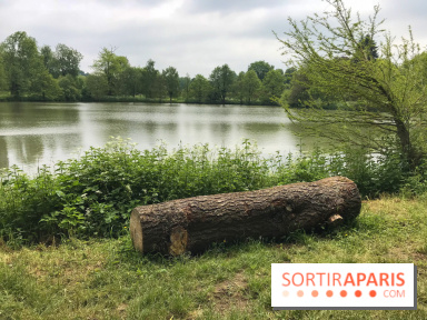 L'Arboretum de Versailles - Chevreloup