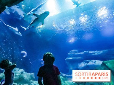 Loup préserve les océans à l'Aquarium de Paris, les photos