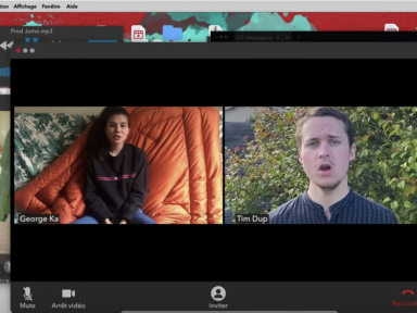 Système D le titre caritatif et collaboratif de 13 artistes indépendants