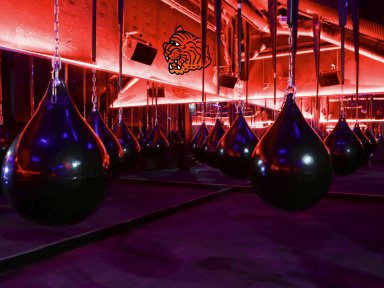 Le Cercle Boxing lance le Cercle + des vidéos en ligne pour pratiquer chez soi