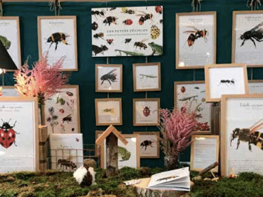 Idées Cadeaux de Noël 2020 : les livres et illustrations pour enfants des Petits Zécolos