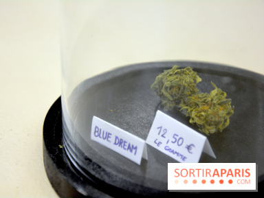 BlueDreamLab le spécialiste de la vente de cannabis CBD
