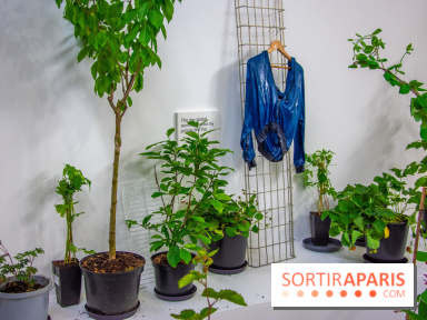 Exposition Laure Prouvost au Palais de Tokyo