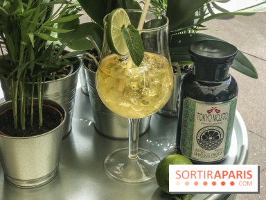 Thé glacé et éclair Tokyo Mojito chez Mariage Frères, les photos