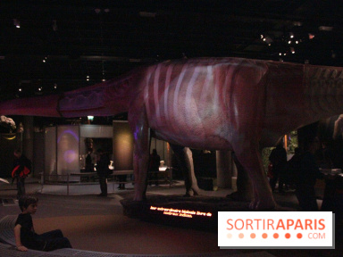 Dinosaure, la vie en grand au Muséum
