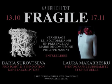 Exposition "Fragile" de Daria Surovtseva et Laura Makabrescu