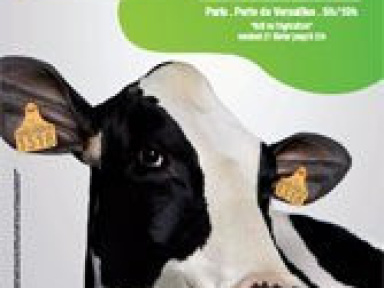 Les médias investissent le Salon de l'Agriculture