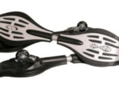 Un nouveau concept de glisse présenté à la Foire de Paris 2009 : le Street Surfing