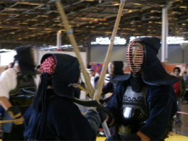 Nombreuses démonstrations d'arts martiaux à Japan Expo 2009