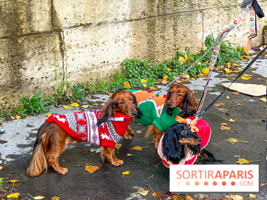 Paris Sausage Walk 2023 : la marche des teckels de retour dans la capitale, pour la bonne cause !
