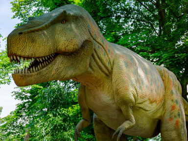 À la découverte des dinosaures : l'exposition "retour vers le passé" débarque à Morangis (91)
