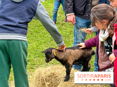 Festival de la Terre 2026 à Montesson (78) : marché des saveurs, ateliers jardinage & ferme pédagogique
