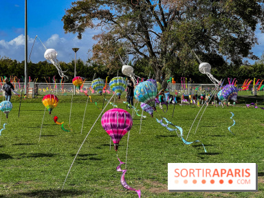 Festival de l'Air 2025 à Montesson (78) : montgolfière, cerfs-volants et concert gratuit en octobre
