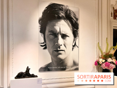 L'exposition gratuite de la collection des chefs-d'œuvres d'Alain Delon à Paris