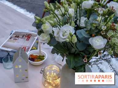 Terrasse scandinave au Grand Palais des Glaces 2018