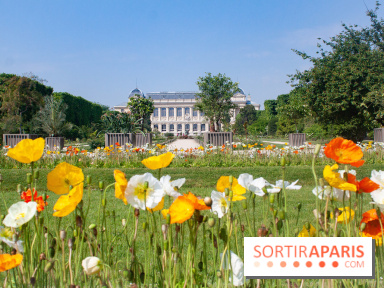 Visuel jardin des plantes Paris