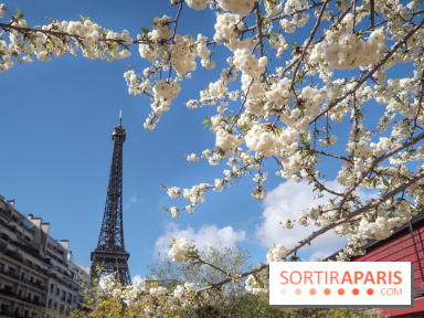 Visuel Paris, Tour Eiffel printemps