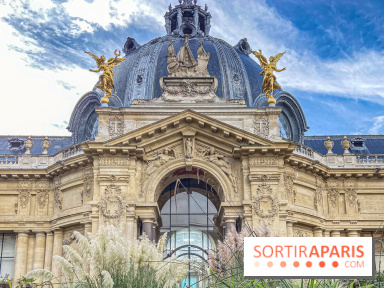 Visuel Paris Petit Palais