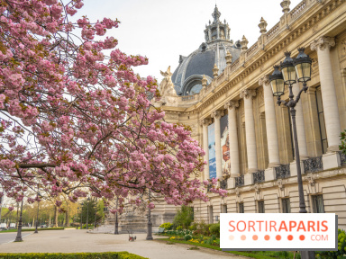 Visuel Paris arbres en fleurs, jardins, parc Petit Palais