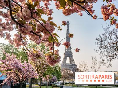 Visuel Paris Tour Eiffel cerisiers en fleurs