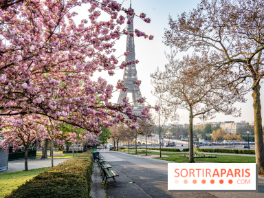 Visuel Paris Tour Eiffel cerisiers en fleurs