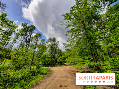 Visuel Paris balade forêt île de france