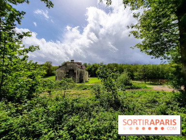 Visuel Paris balade forêt île de france