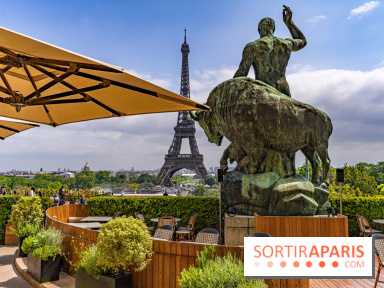 visuel Paris visuel  -  Tour Eiffel - terrasse - café