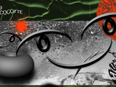 Flash Cocotte XXL au Dehors Brut