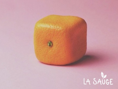 Cracki et La Sauge : Open Air #6 à la Prairie du Canal 