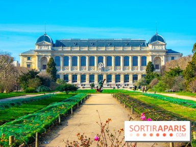 Mille et une Orchidées 2019 au Jardin des Plantes, les photos