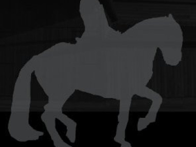 Lever de soleil, Bartabas, Cheval, Académie Equestre, Quartier d'été