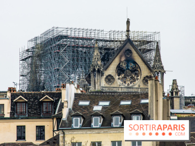 Notre Dame de Paris, les photos des dégâts