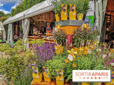 Jardins Jardin aux Tuileries 2019