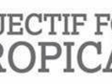 forêt tropicale, Prince’s Rainforests Project, Sony, Hotel de Ville, Paris