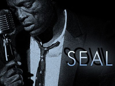 Seal, concert, bercy, soul, Paris