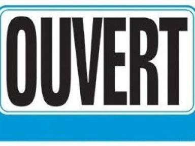 Travail du dimanche, Assemblée, UMP, zones touristiques et thermales