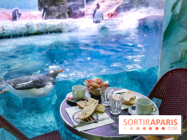 Les petits déjeuners avec les manchots de l'aquarium Sea Life