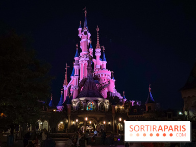 Visuels Disneyland Paris château nuit