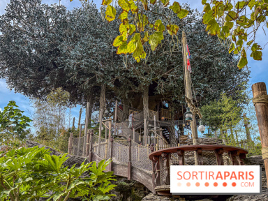 Visuels Disneyland Paris - La Cabane des Robinson