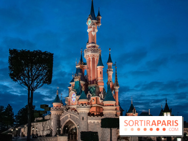 Visuels Disneyland Paris château nuit