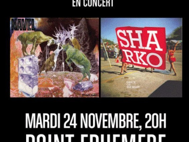 Navel, Sharko, Concerts, Paris, Point Ephémère