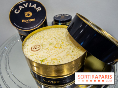 Bûches de Noël 2019 by Hugo & Victor, les photos