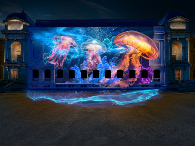 En voie d'illumination : le festival de lumières 2025-2026 au Jardin des Plantes - photos