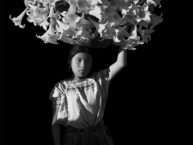 Noir et Blanc : une esthétique de la photographie, l'exposition au Grand Palais