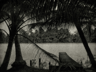 L'Odeur de la nuit était celle du jasmin : l'expo photo à l'Académie des Beaux-Arts