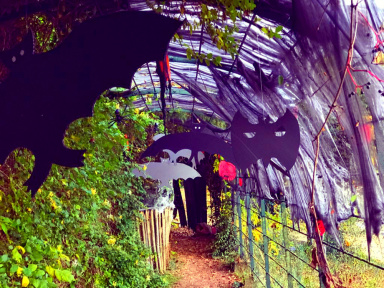 Halloween au Potager des Princes à Chantilly