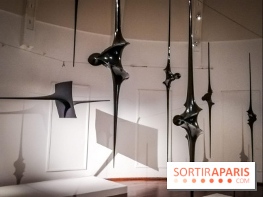 Le musée Guimet offre une Carte blanche à l'artiste Toshimasa Kikuchi