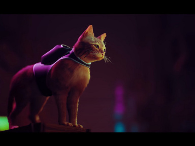 Chat, chien, requin, abeille, chèvre : les meilleurs jeux vidéo où on incarne un animal